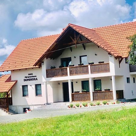 Agropensiunea Duminora Lăschia Dış mekan fotoğraf
