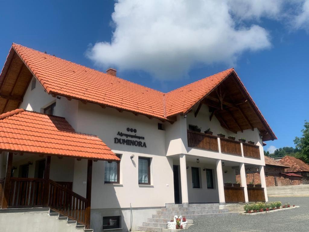 Agropensiunea Duminora Lăschia Dış mekan fotoğraf